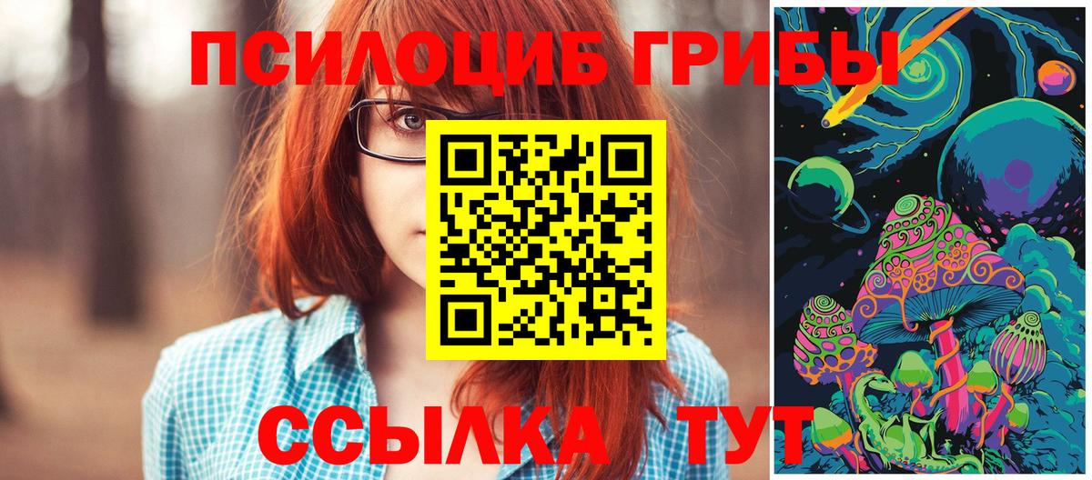Псилоцибиновые грибы Psilocybe Сертолово