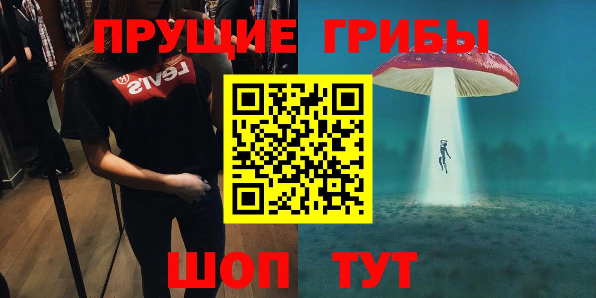 Галлюциногенные грибы Psilocybe  Вход с VPN  Сертолово 